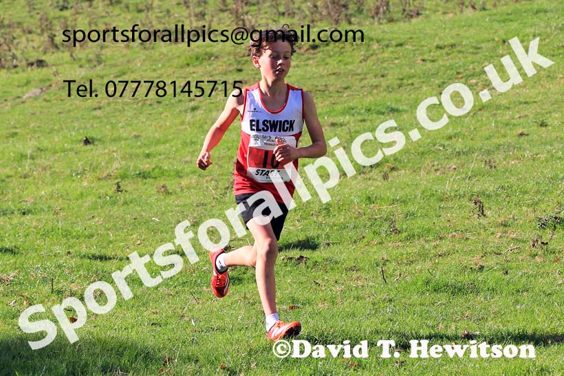 Boys under-13s, 2022 NECAA Cross Country Relays, Thornley Hall Farm, Peterlee, County Durham, October 15th. Photo: David T. Hewitson/Sports for All Pics